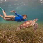 Girl Swimming With Turtle1
