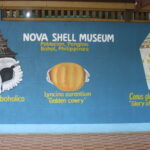 Nova Sea Shell Museum
